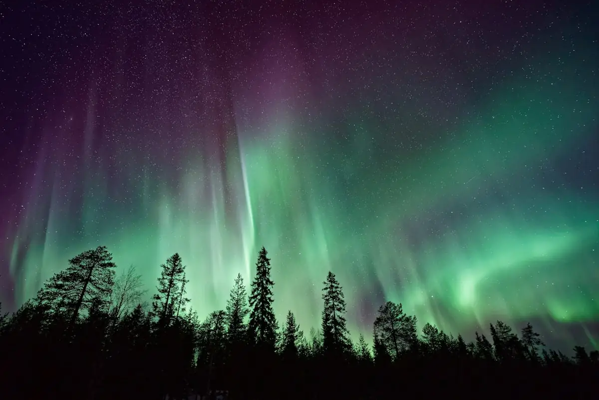 The Northern Lights over a forest in Lapland