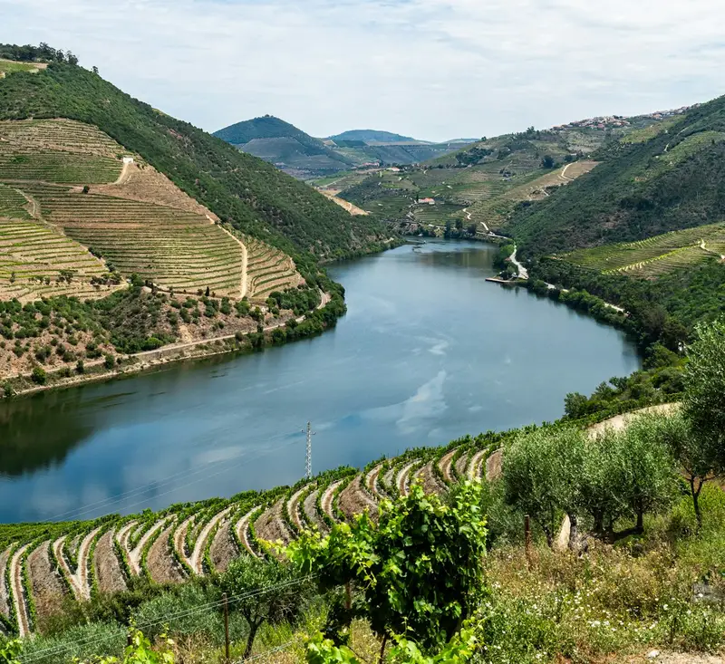 Quinta do Vallado